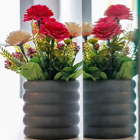 Apartment Casa Helone *